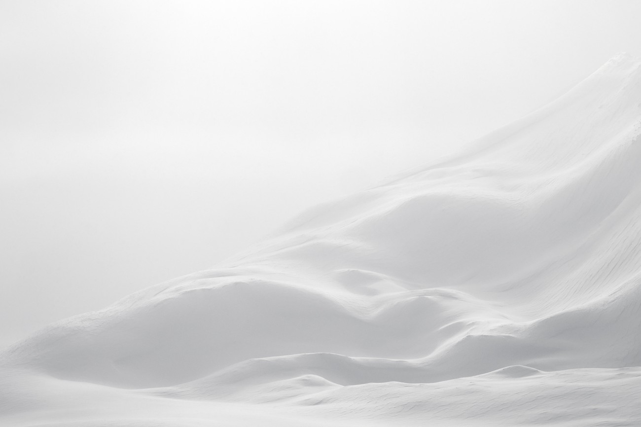 Ewa Przeździecka, Ewa Przezdziecka photography, wildlife photographer, photography