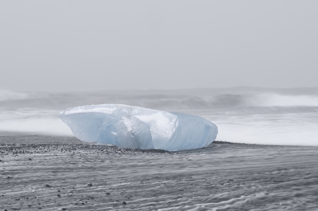 Ewa Przeździecka, Ewa Przezdziecka photography, wildlife photographer, photography