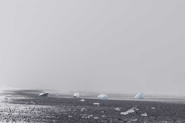 Ewa Przeździecka, Ewa Przezdziecka photography, wildlife photographer, photography