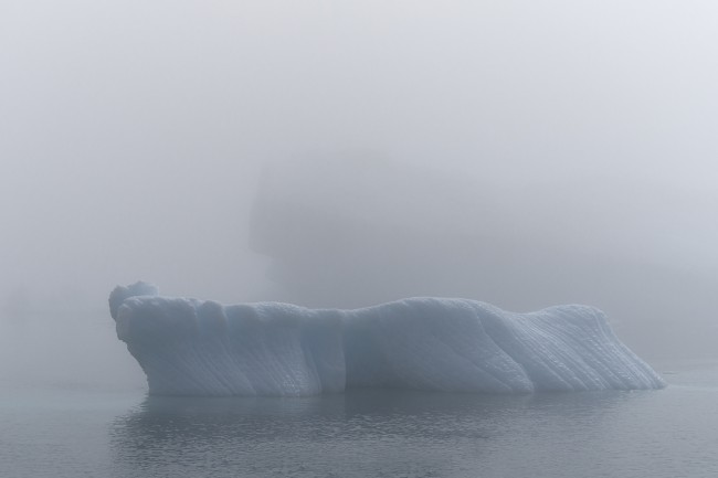Ewa Przeździecka, Ewa Przezdziecka photography, wildlife photographer, photography