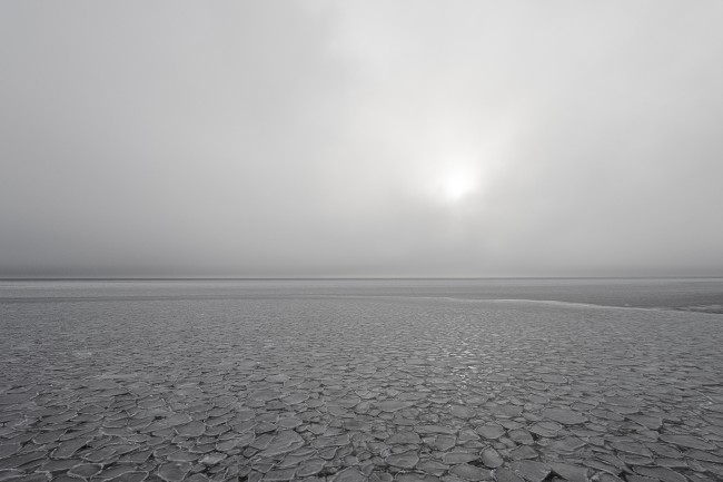 Ewa Przeździecka, Ewa Przezdziecka photography, wildlife photographer, photography