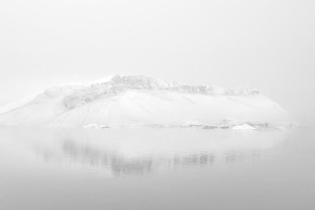 Ewa Przeździecka, Ewa Przezdziecka photography, wildlife photographer, photography